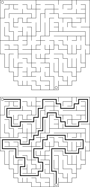 Maze